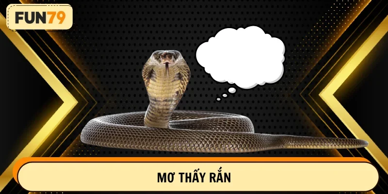 mơ thấy rắn
